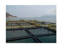 Product Importer Gallery 02 · dc3c03c205