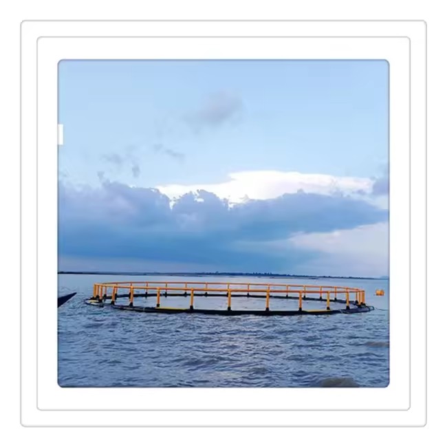 Product Importer Gallery 05 · f23de956c2