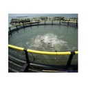 Product Importer Gallery 03 · 70f6d889b8