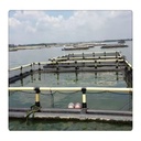 Product Importer Gallery 05 · 5d04489485