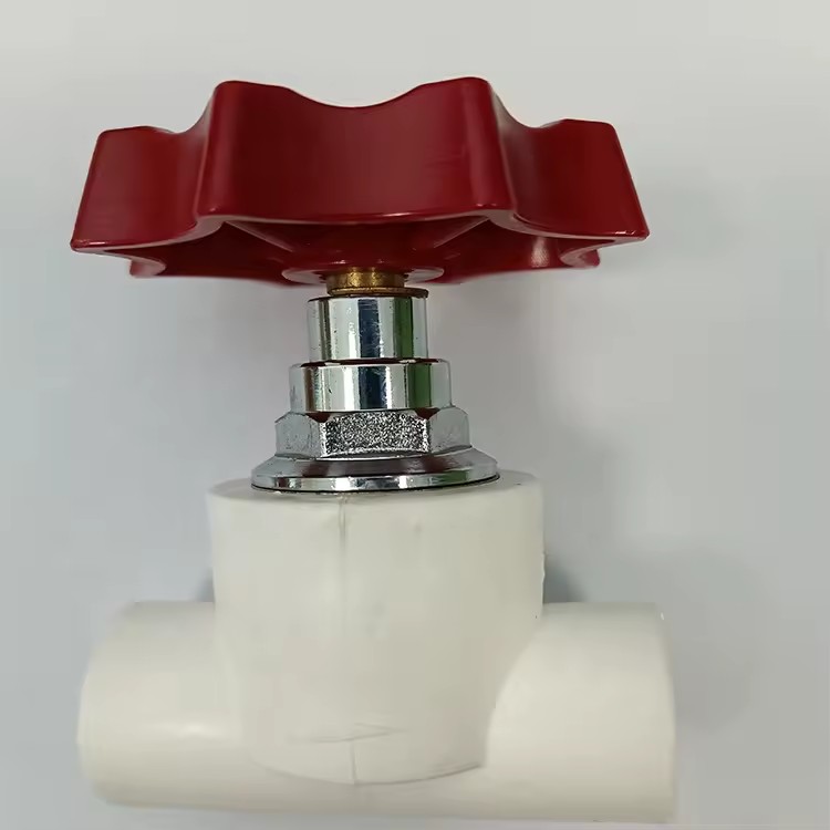 Product Importer Gallery 02 · 72336f4abd
