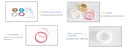 Product Importer Gallery 05 · 202a13d109