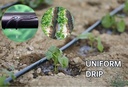 Product Importer Gallery 05 · c060102fba