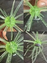 Product Importer Gallery 04 · cdcfa1d733
