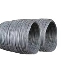 Product Importer Gallery 02 · 5cac852854