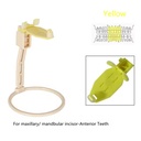 Product Importer Gallery 03 · 474fc77d58