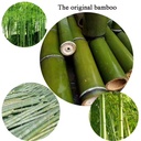 Product Importer Gallery 03 · 583377e633
