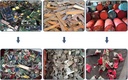 Product Importer Gallery 03 · 59974f5ee9
