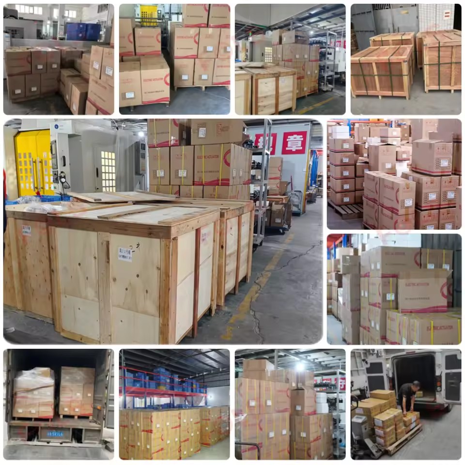Product Importer Gallery 05 · 14587d8266