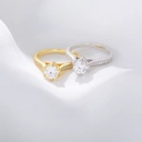 Product Importer Gallery 03 · d01888cf5e
