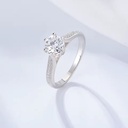 Product Importer Gallery 04 · 49d6f42c36