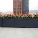 Product Importer Gallery 01 · 9646c1edd8