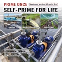 Product Importer Gallery 04 · 216abb293c