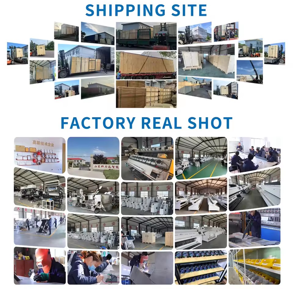 Product Importer Gallery 04 · b0ac9e62c8