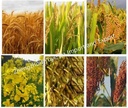 Product Importer Gallery 05 · 86a069ed98