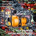 Product Importer Gallery 01 · 4762f295a6