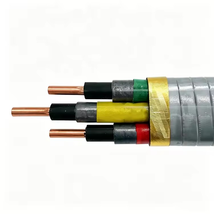 Product Importer Gallery 02 · f06eb8aabb