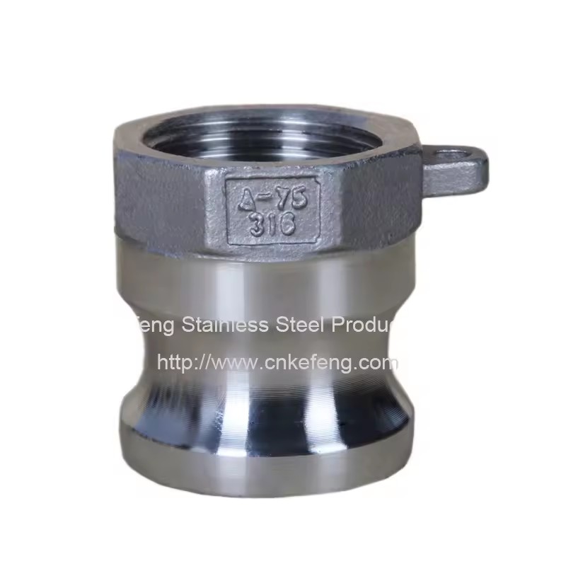 Product Importer Gallery 01 · f995025843