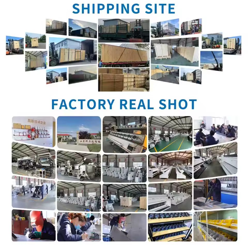 Product Importer Gallery 04 · 88d1ad0d1f