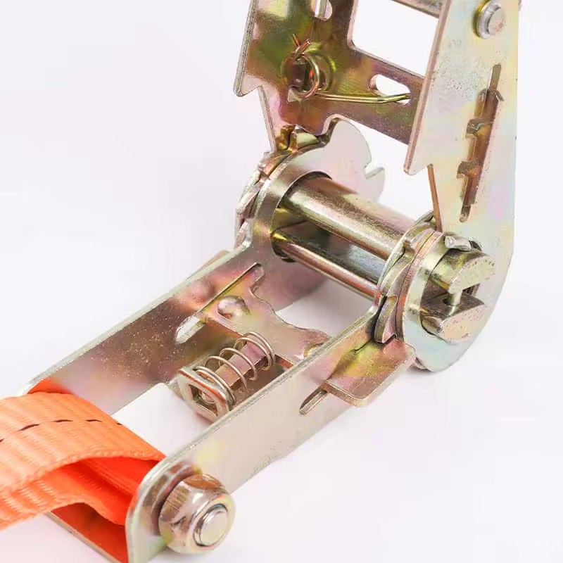 Product Importer Gallery 02 · 79ac57579a