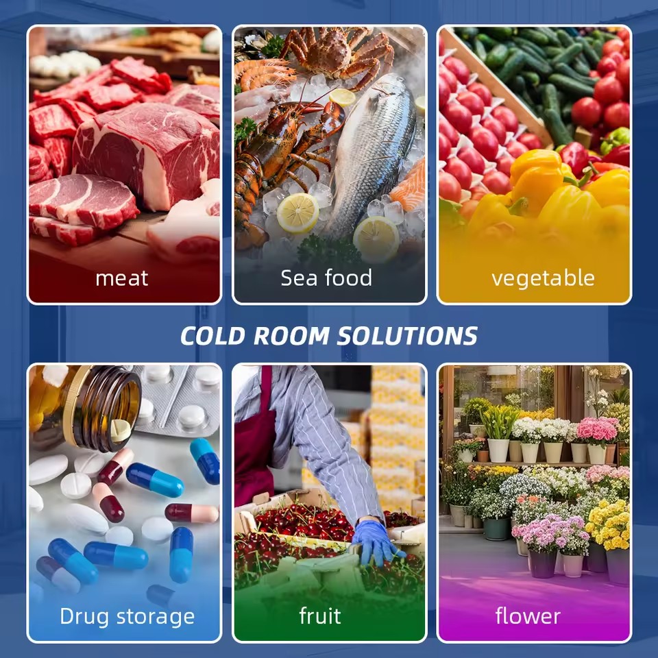 Product Importer Gallery 03 · d31fa009bc