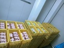 Product Importer Gallery 01 · a6a7d6e19d