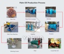 Product Importer Gallery 03 · dd6039ca61
