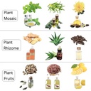 Product Importer Gallery 04 · 87f2e0e930