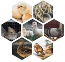 Product Importer Gallery 01 · e539f75014