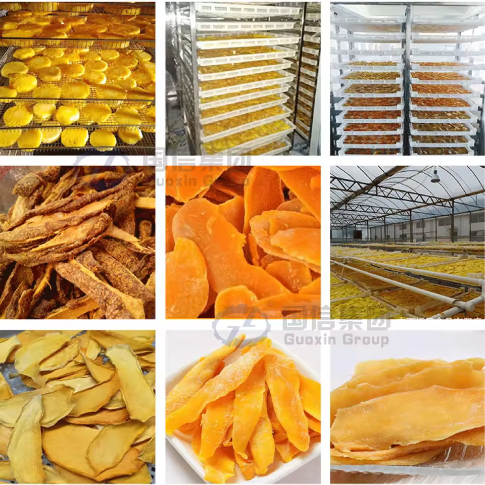 Product Importer Gallery 05 · 7935677e61