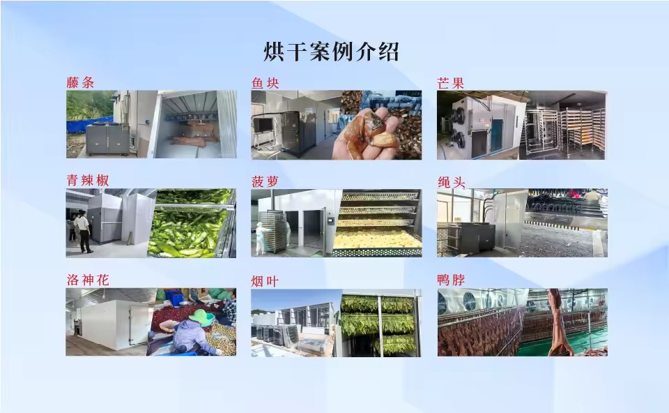 Product Importer Gallery 05 · b6e8e4143d