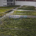 Product Importer Gallery 01 · 6939246524