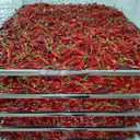 Product Importer Gallery 02 · 00f376670d
