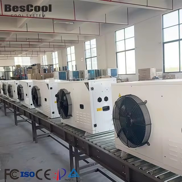 Product Importer Gallery 05 · abdd990ba0