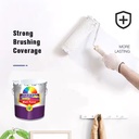 Product Importer Gallery 01 · cd104524b8