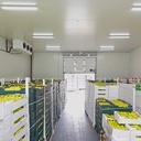 Product Importer Gallery 03 · f8a3400448