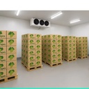 Product Importer Gallery 03 · 623a131a0b