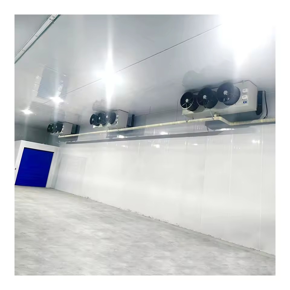 Product Importer Gallery 04 · f430ab7c0c