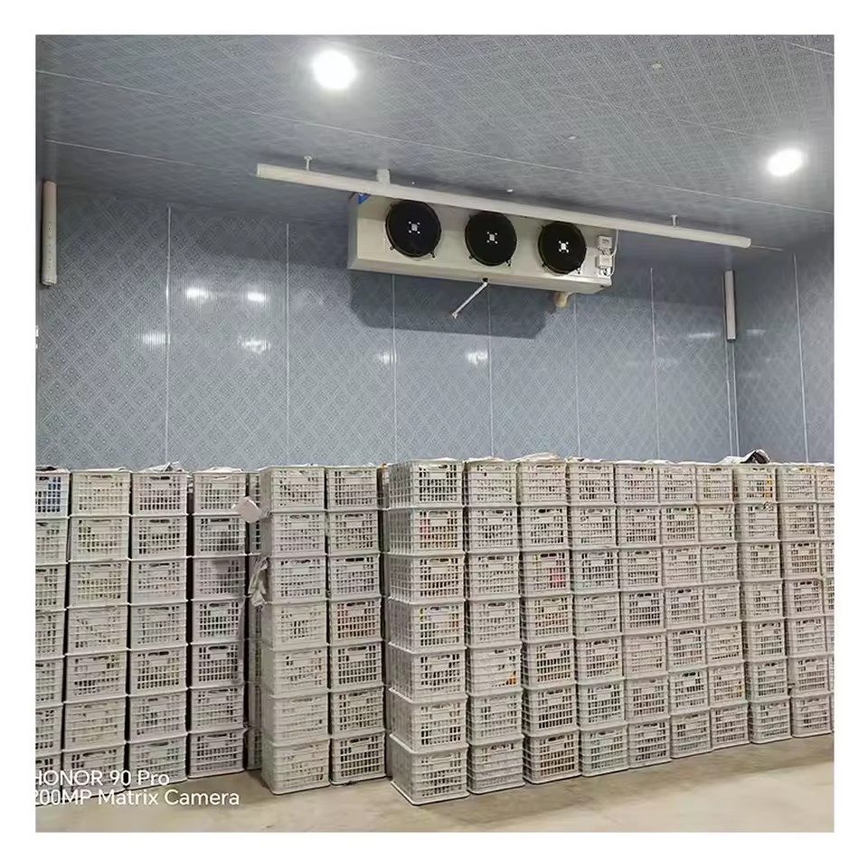 Product Importer Gallery 04 · f7779aab3f