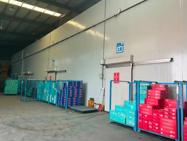 Product Importer Gallery 01 · f50aeff09c