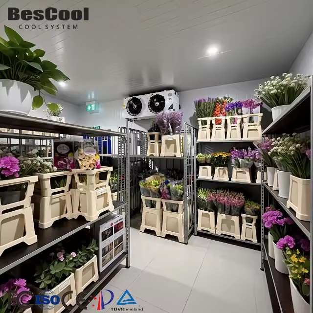 Product Importer Gallery 03 · fef4679c50