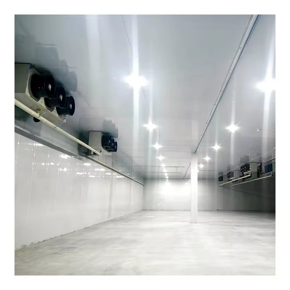 Product Importer Gallery 04 · 5ae899d050