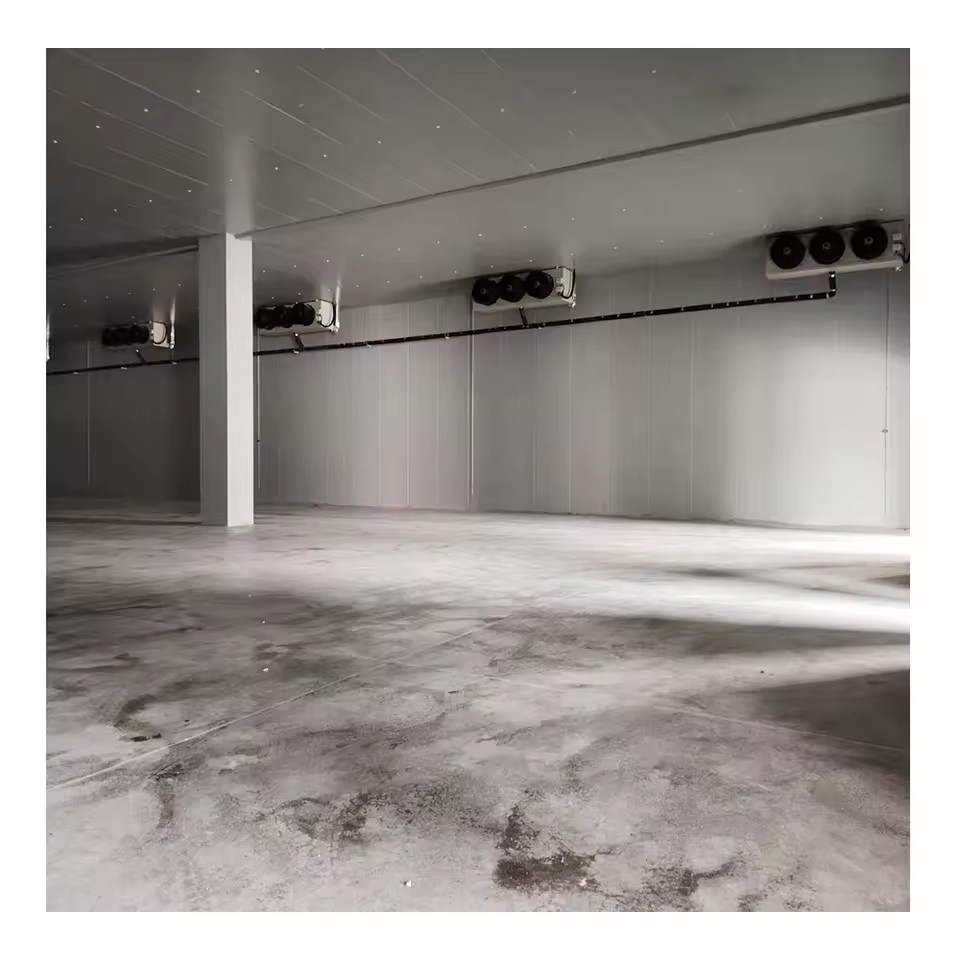 Product Importer Gallery 03 · 184cc77d5c