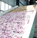 Product Importer Gallery 04 · 41df66c5f0