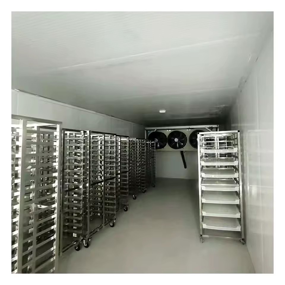 Product Importer Gallery 01 · 774507cfb7