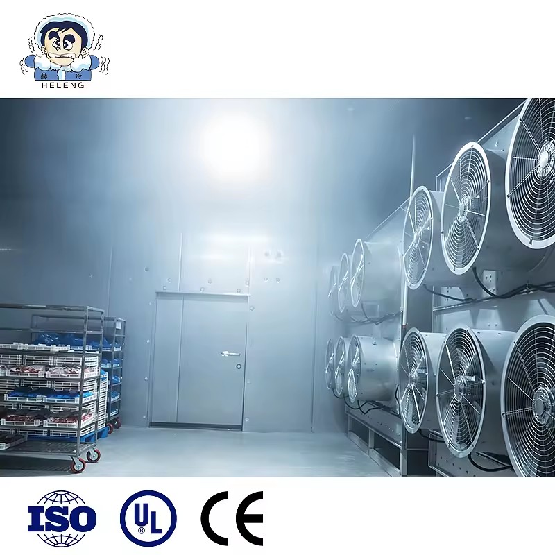 Product Importer Gallery 01 · c652c2d609