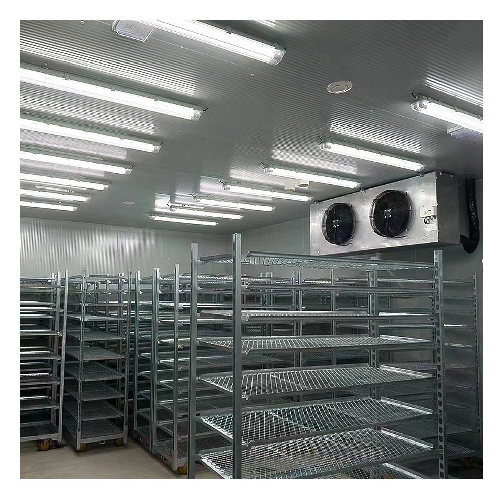 Product Importer Gallery 01 · 61b66357c5