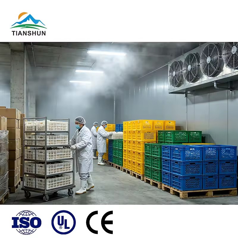 Product Importer Gallery 01 · e8b39c459e
