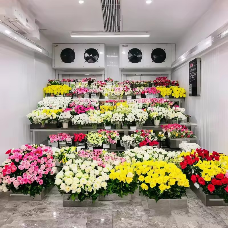 Product Importer Gallery 03 · ee39630fb1