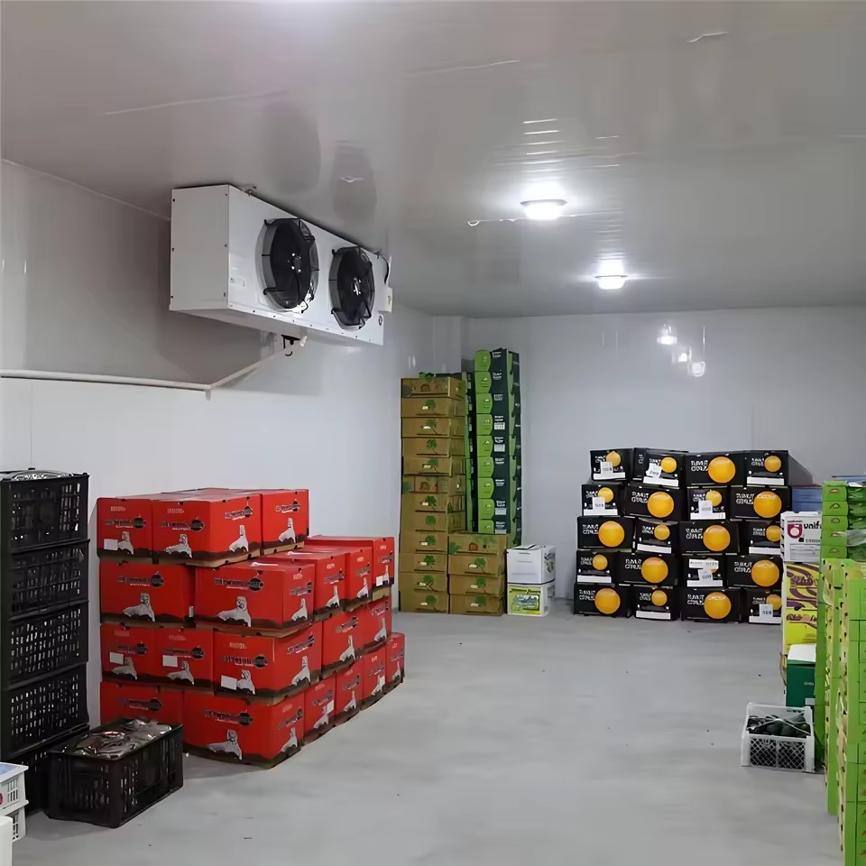 Product Importer Gallery 03 · 509163805c